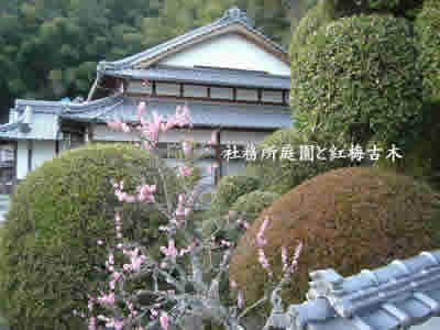 加茂神社の社務所庭園と紅梅古木