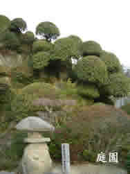 加茂神社の庭園